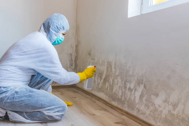 Licensed Mold Remediation service in Winston-Salem, NC - 24 Hour Mold Removal