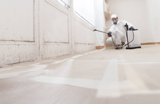 24/7 Emergency Mold Remediation experts in Winston-Salem, NC