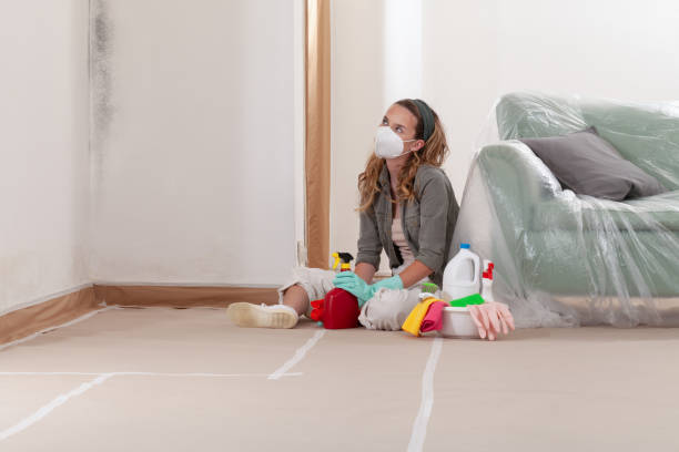Reliable Mold Remediation contractor in Winston-Salem, NC by 24 Hour Mold Removal